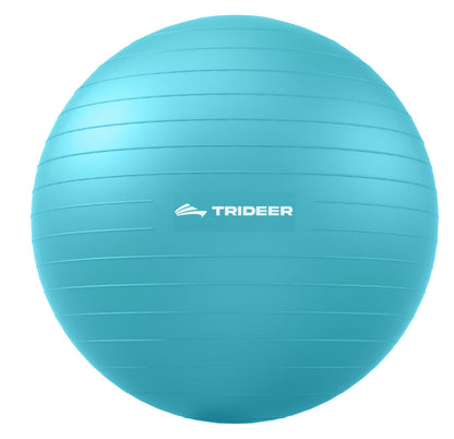 Trideer Extra Thick Yoga Ball Exercise Ball, 5 Sizes Gym Ball, Heavy Duty Ball Chair for Balance, Stability, Pregnancy, Quick Pump Included